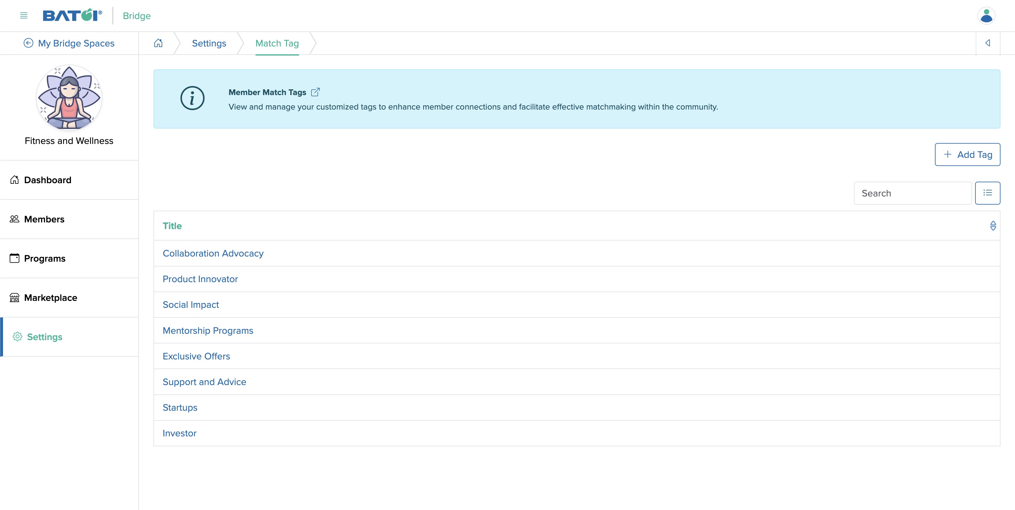 Figure 4: Individual Bridge Match Tag List Screen