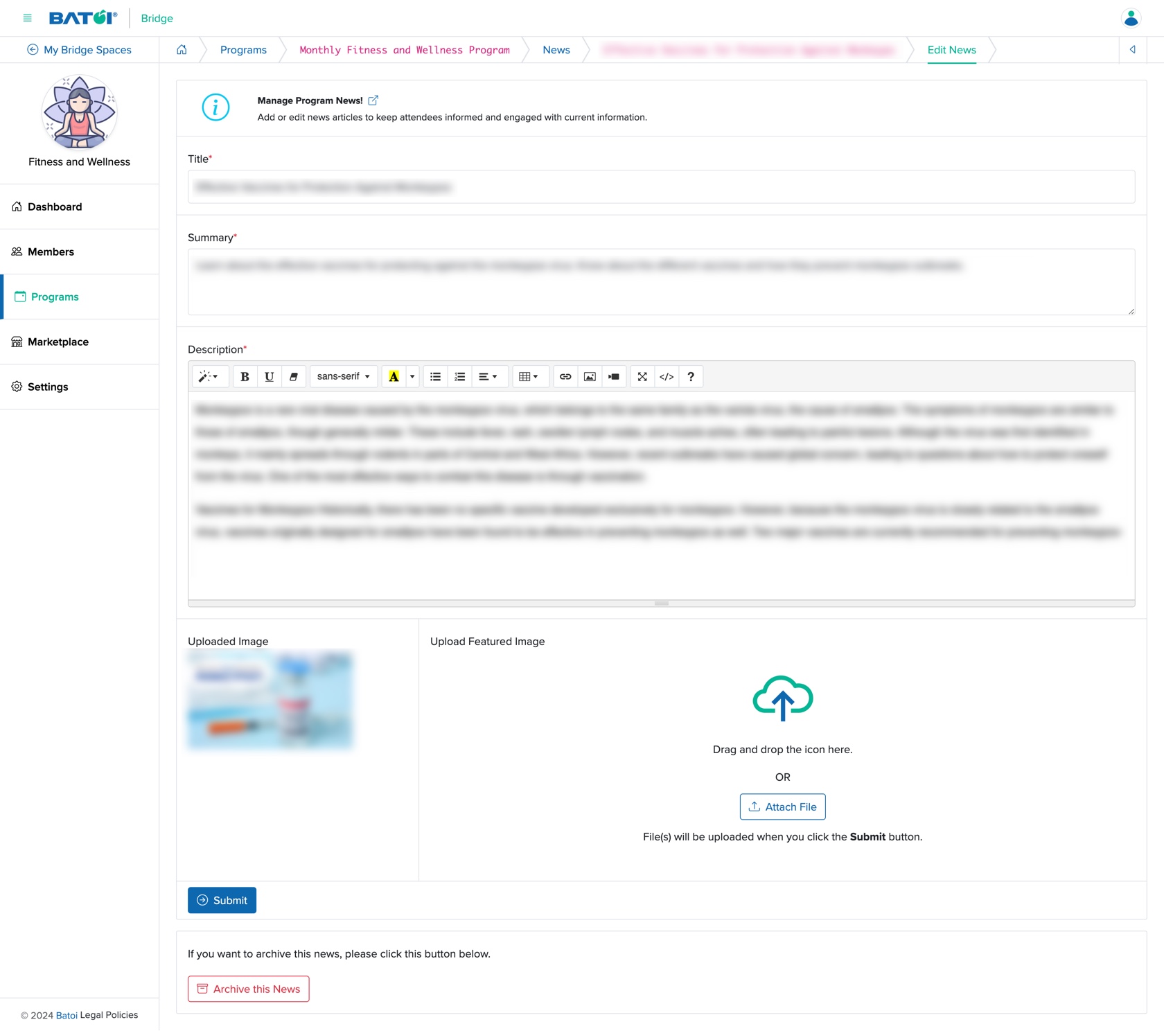 Figure 15: Individual Bridge Manager Control Panel Program News Edit Screen