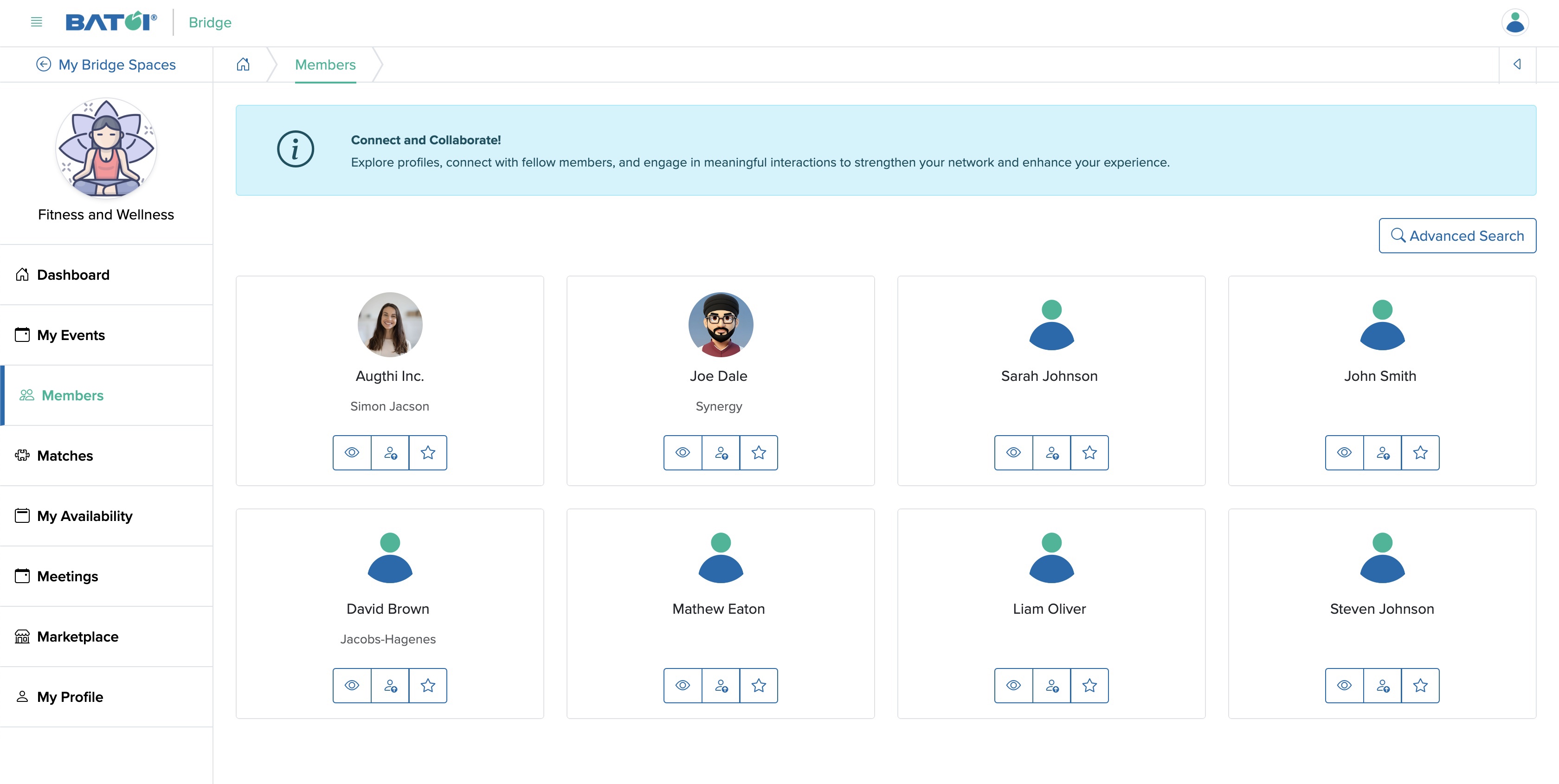 Figure 2: Individual Bridge Member Control Panel Member Screen