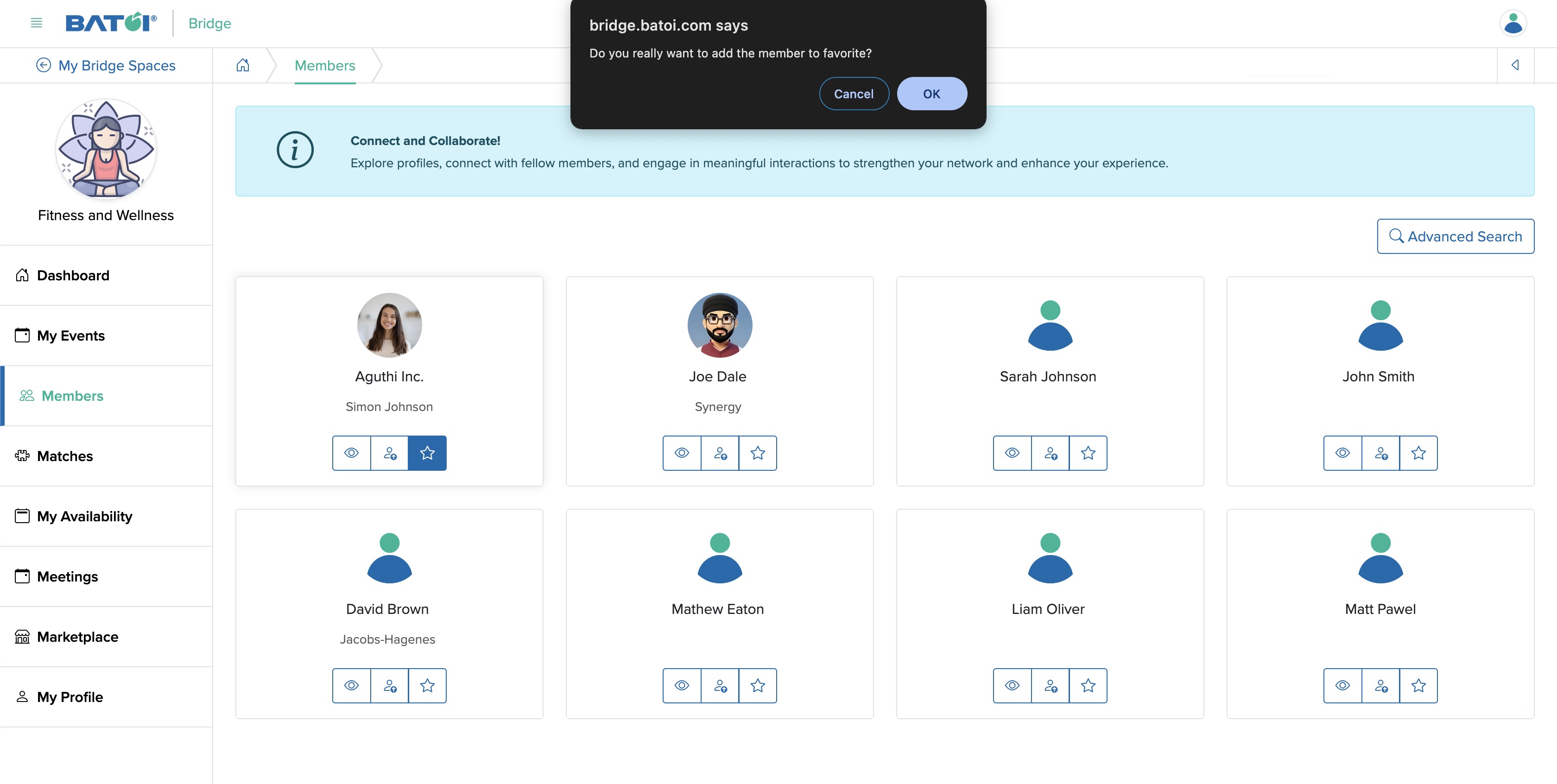 Figure 6: Individual Bridge Member Control Panel Member Screen