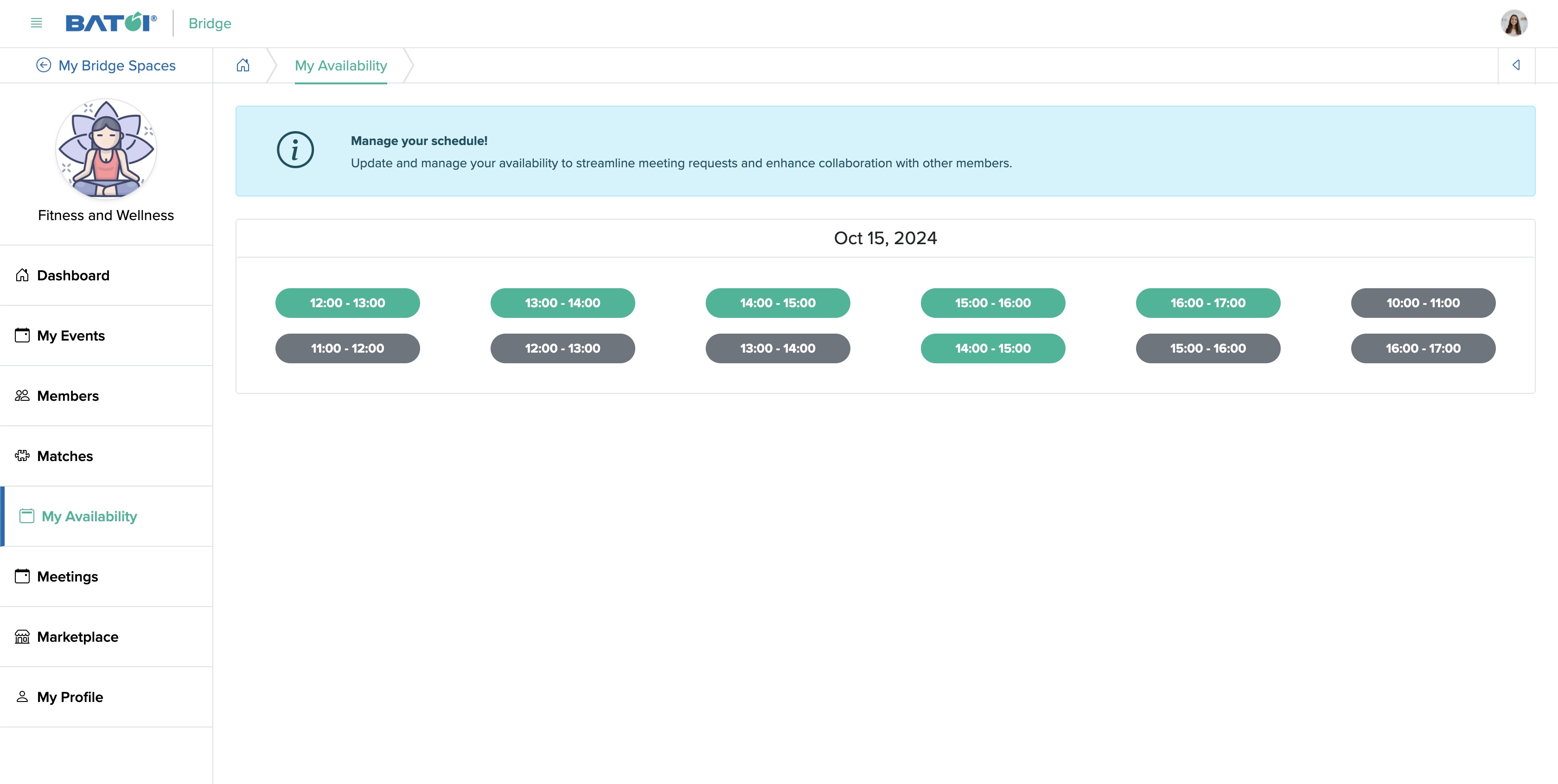 Figure 2: Individual Bridge Member Control Panel My Availability Screen