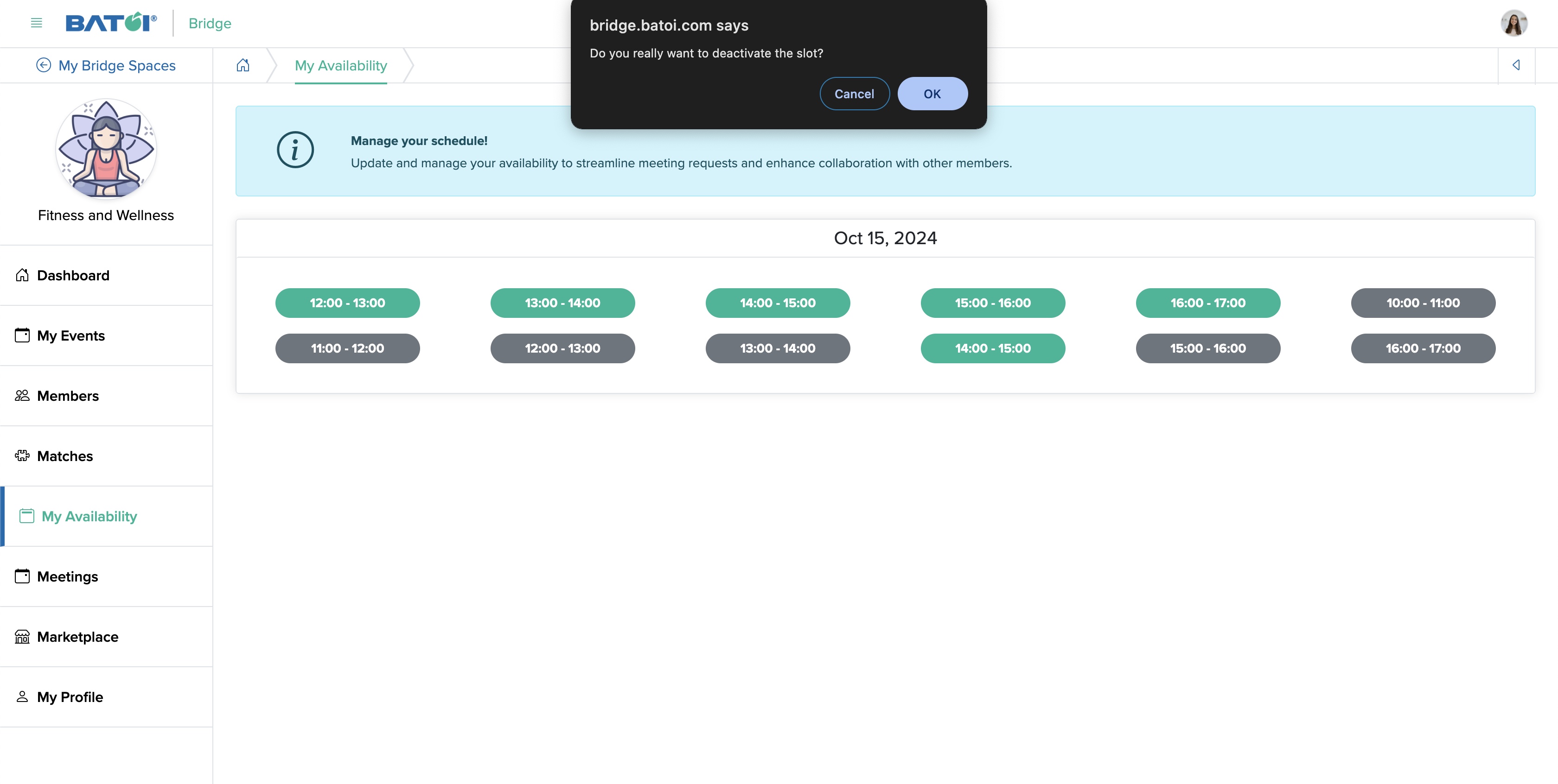 Figure 3: Individual Bridge Member Control Panel My Availability Screen