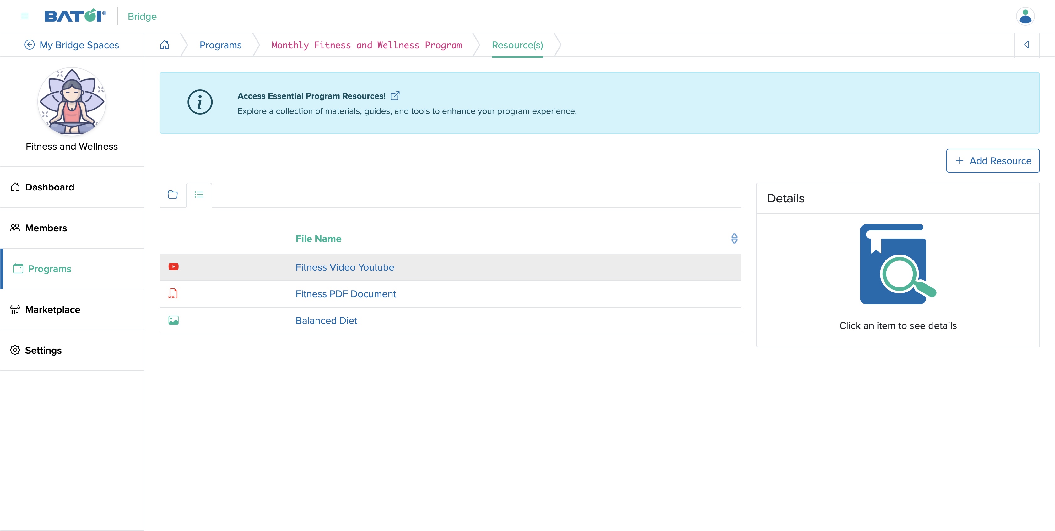 Figure 18: Individual Bridge Manager Control Panel Program Resources Screen