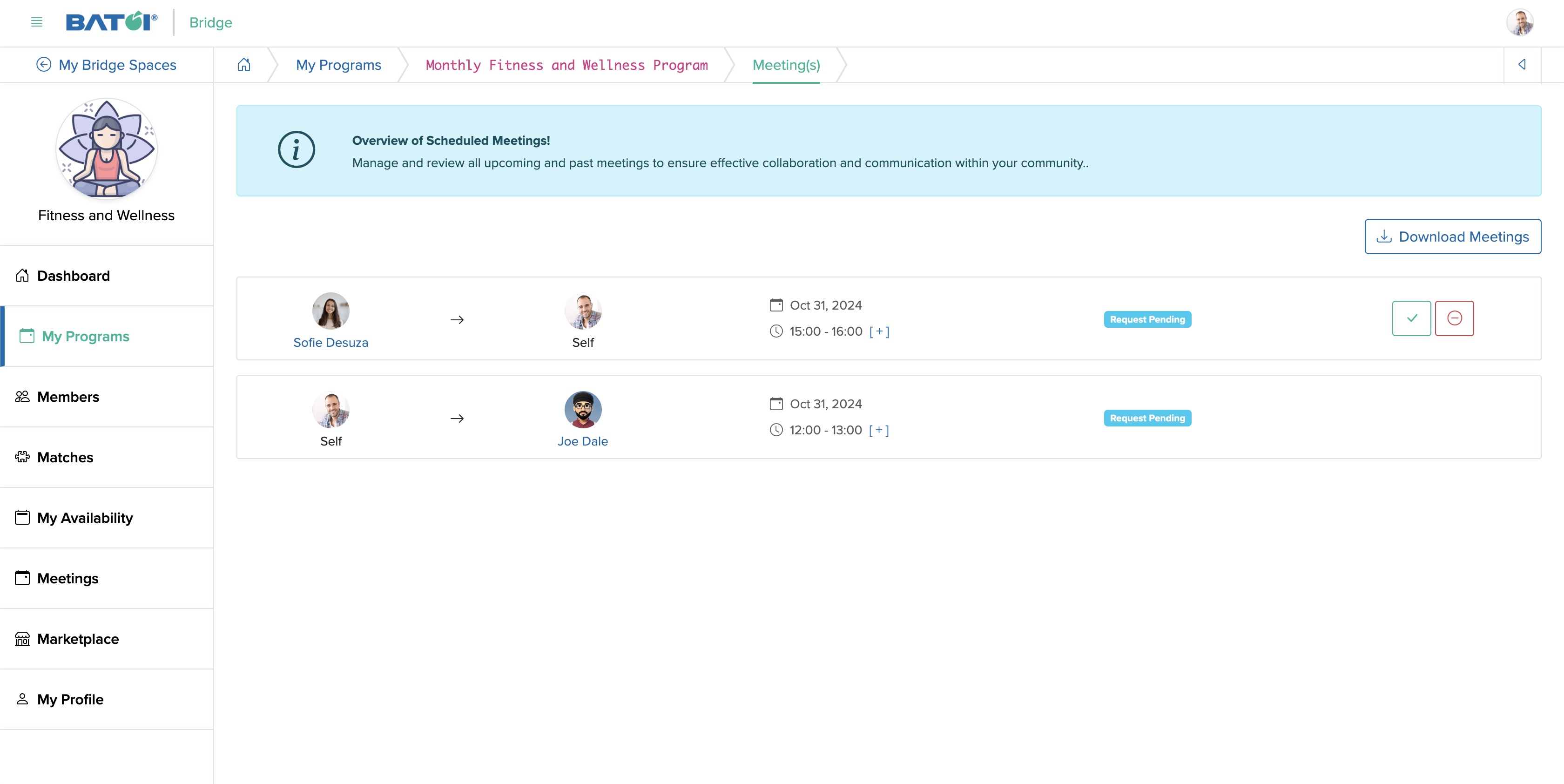 Figure 4: Individual Bridge Member Control Panel Individual Program Meeting Screen