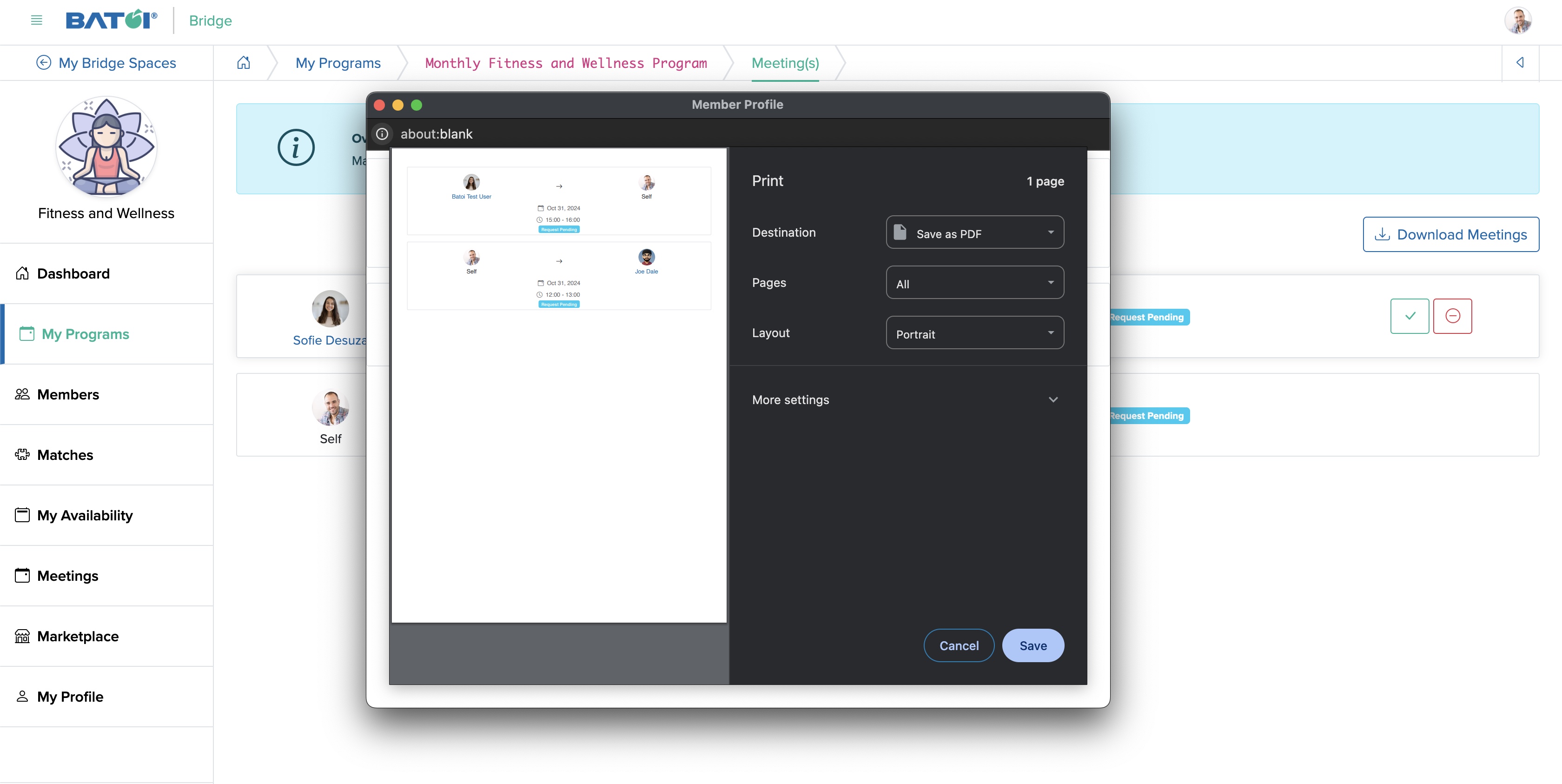 Figure 5: Individual Bridge Member Control Panel Individual Program Meeting Download Screen