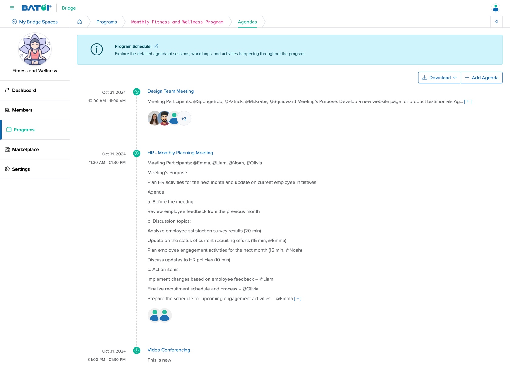 Figure 29: Individual Bridge Manager Control Panel Program Agenda Screen