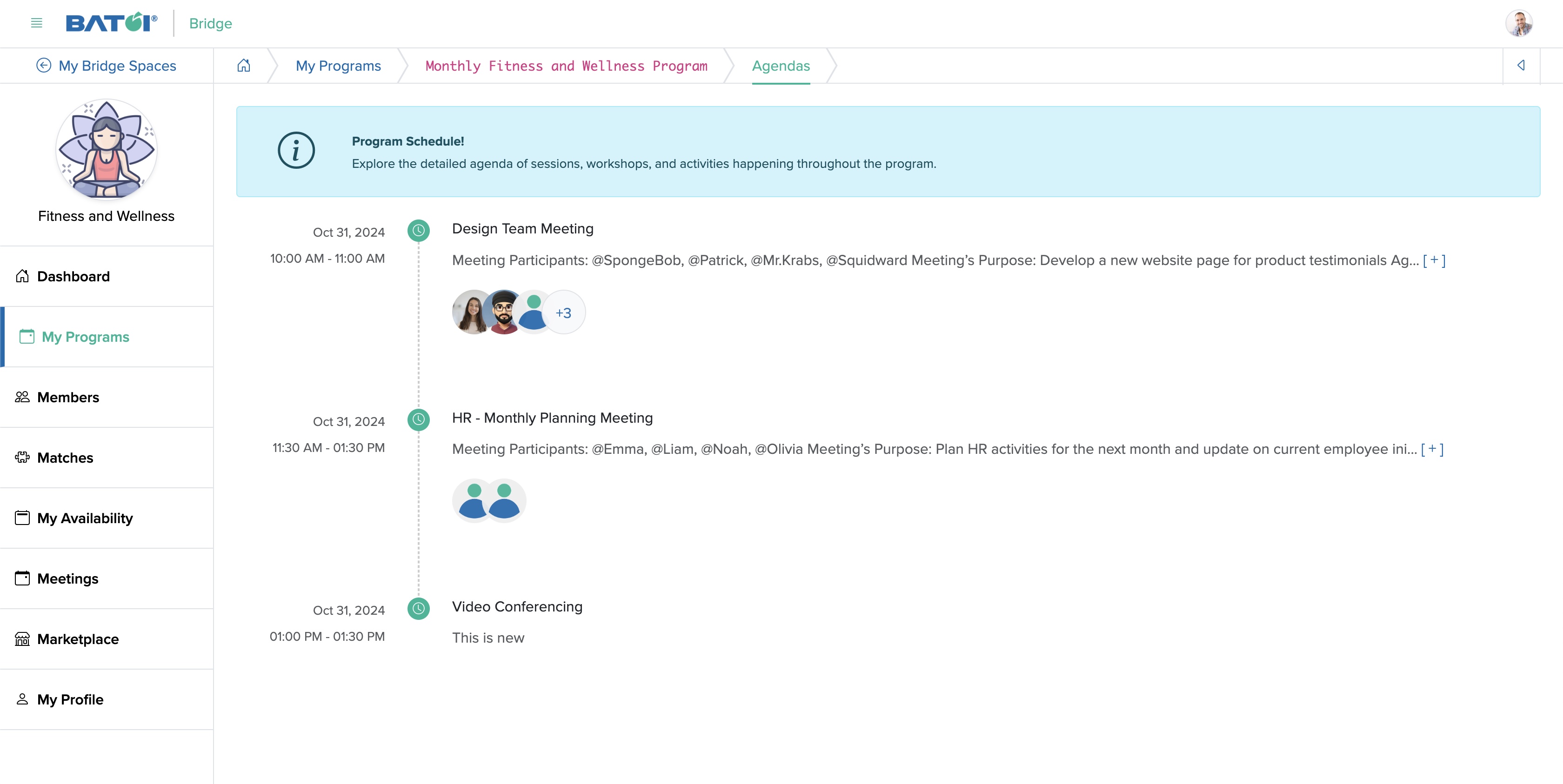 Figure 10: Individual Bridge Member Control Panel Individual Program Agenda Detail Screen