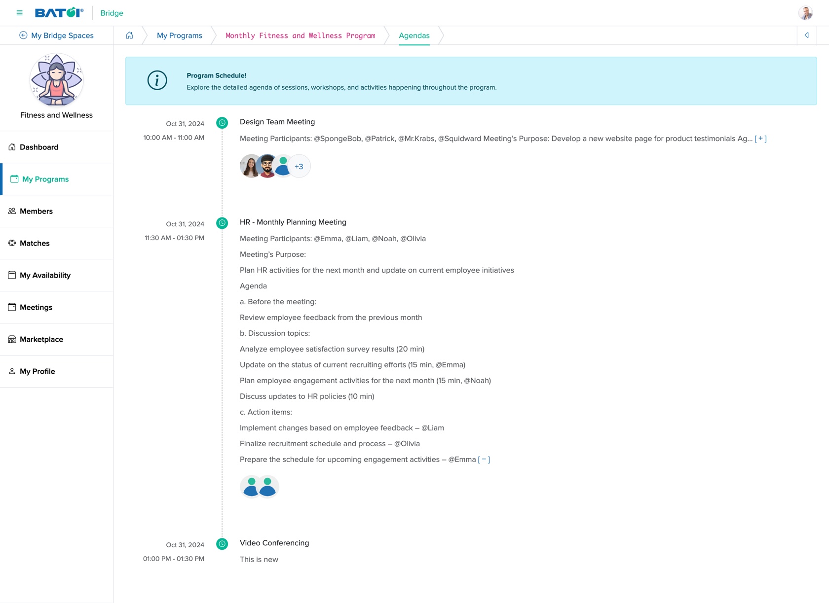 Figure 11: Individual Bridge Member Control Panel Individual Program Agenda Detail Screen