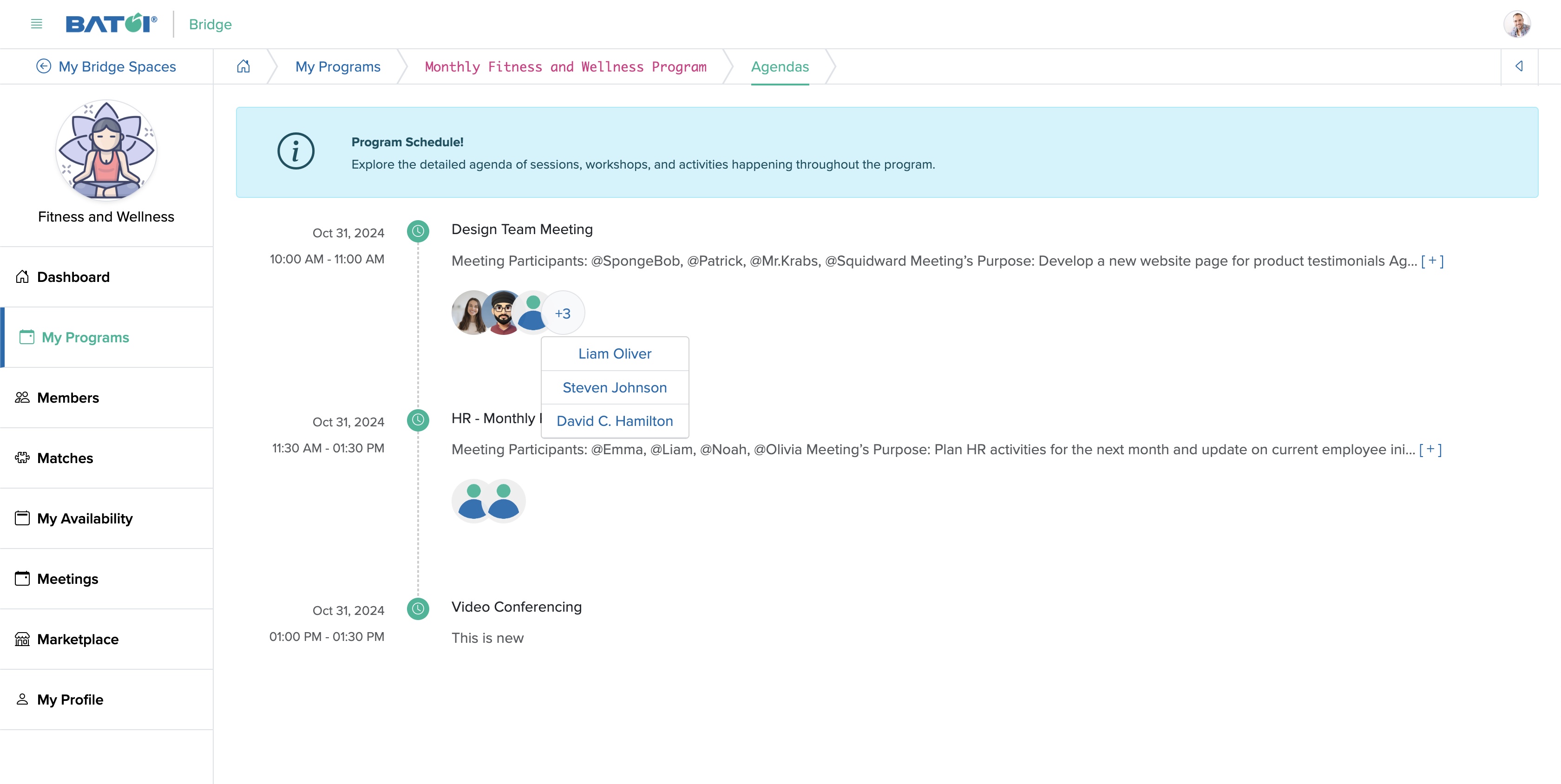 Figure 13: Individual Bridge Member Control Panel Individual Program Agenda Member Detail Popup Screen