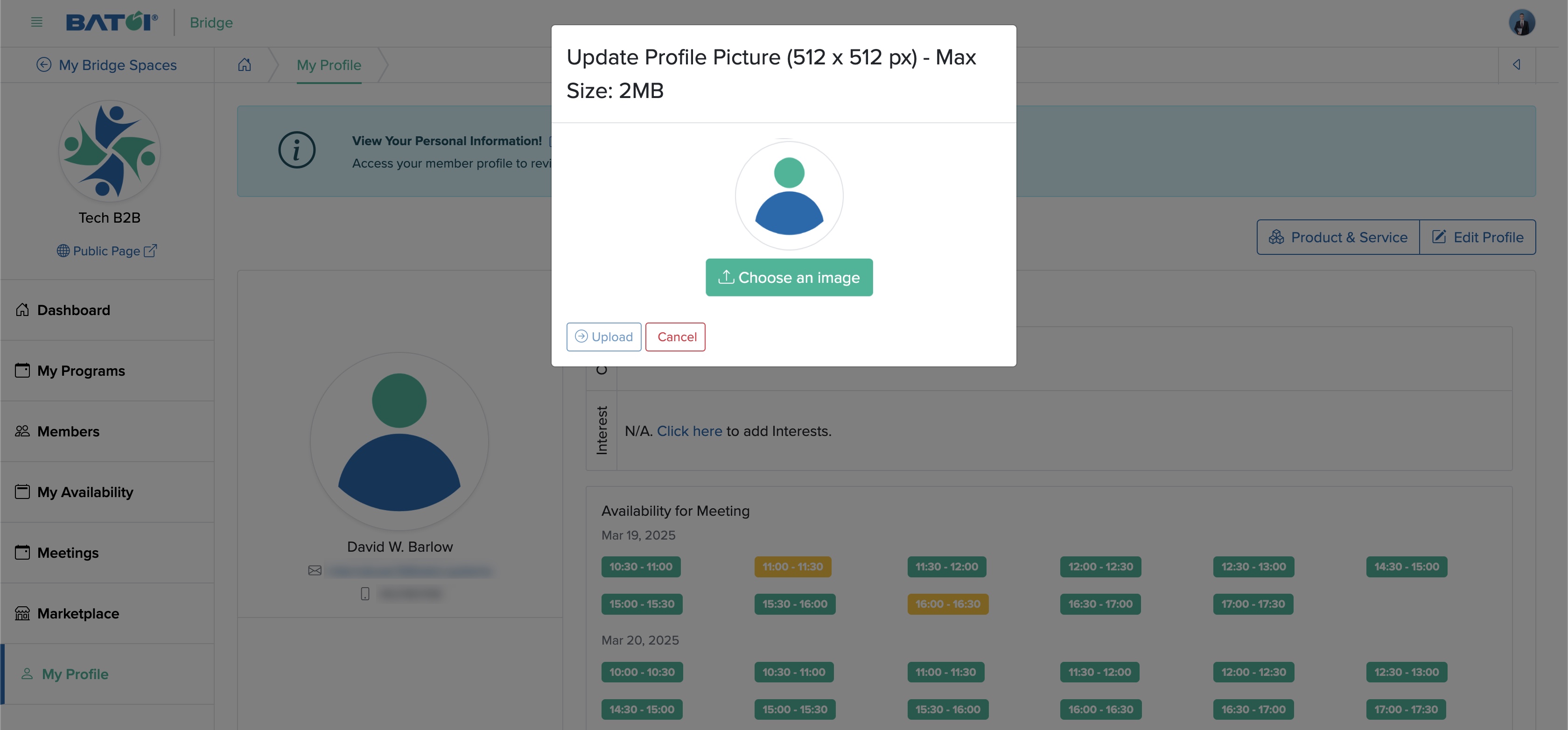 Figure 3: Individual Bridge Member Control Panel Upload Profile Image Popup Screen