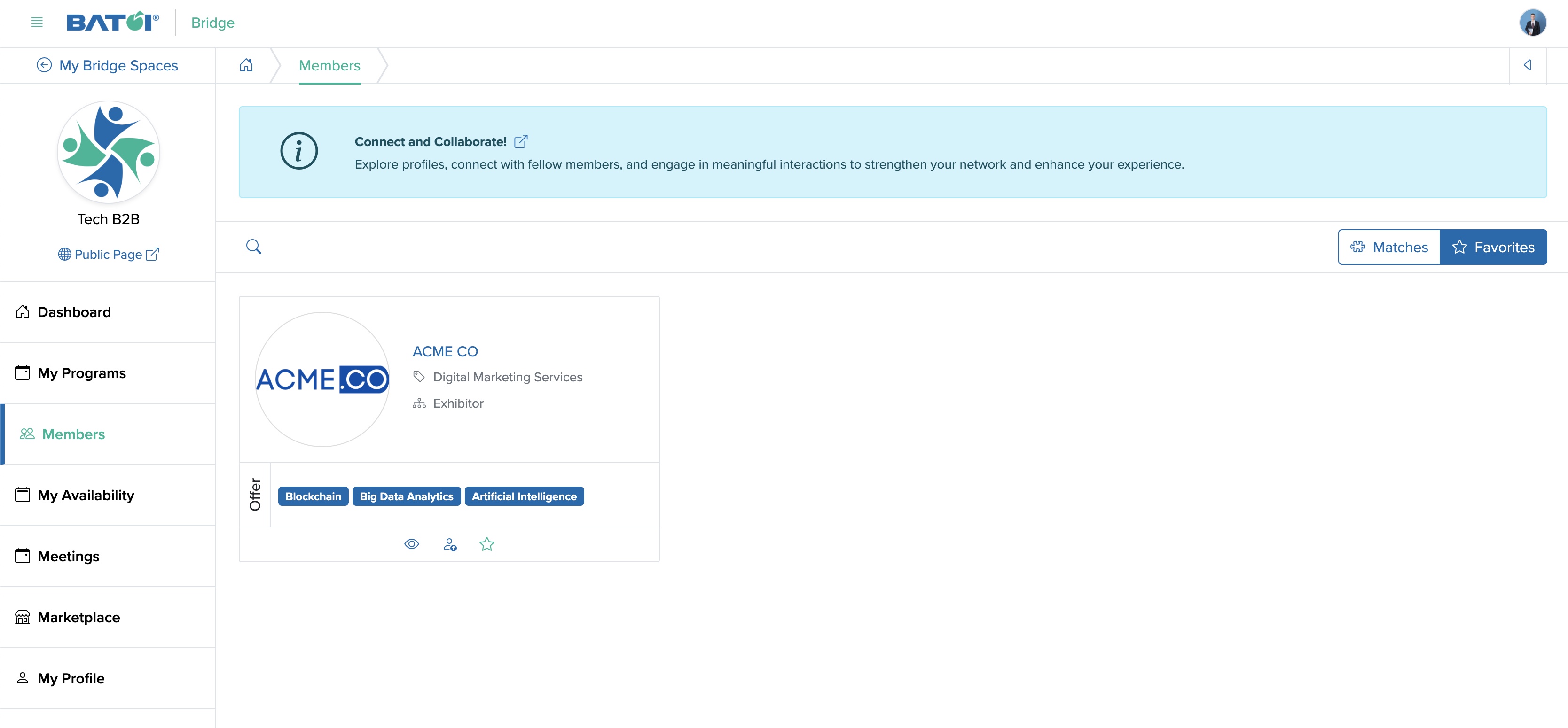 Figure 5: Individual Bridge Member Control Panel Member Matches Screen