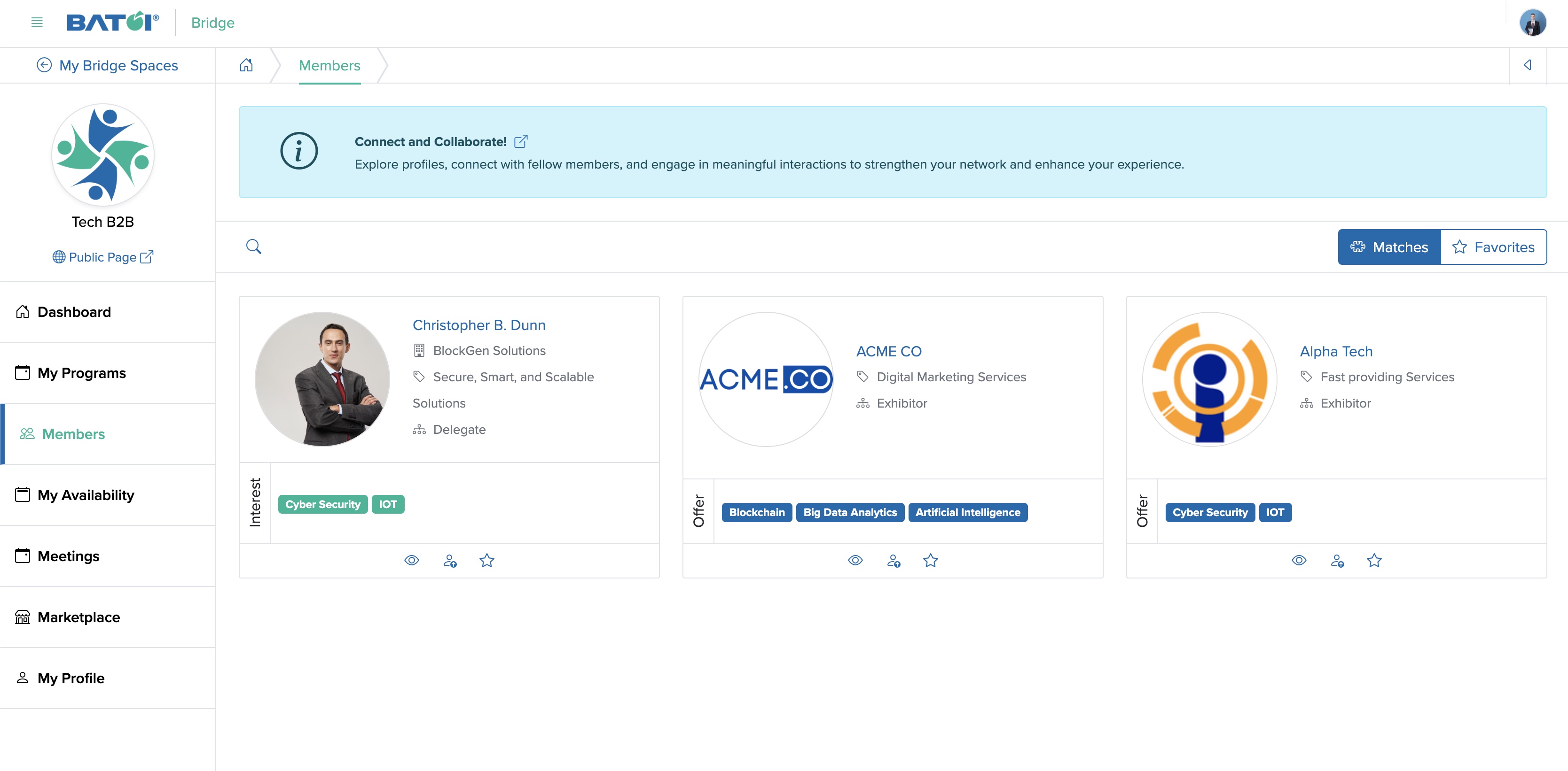 Figure 4: Individual Bridge Member Control Panel Member Matches Screen