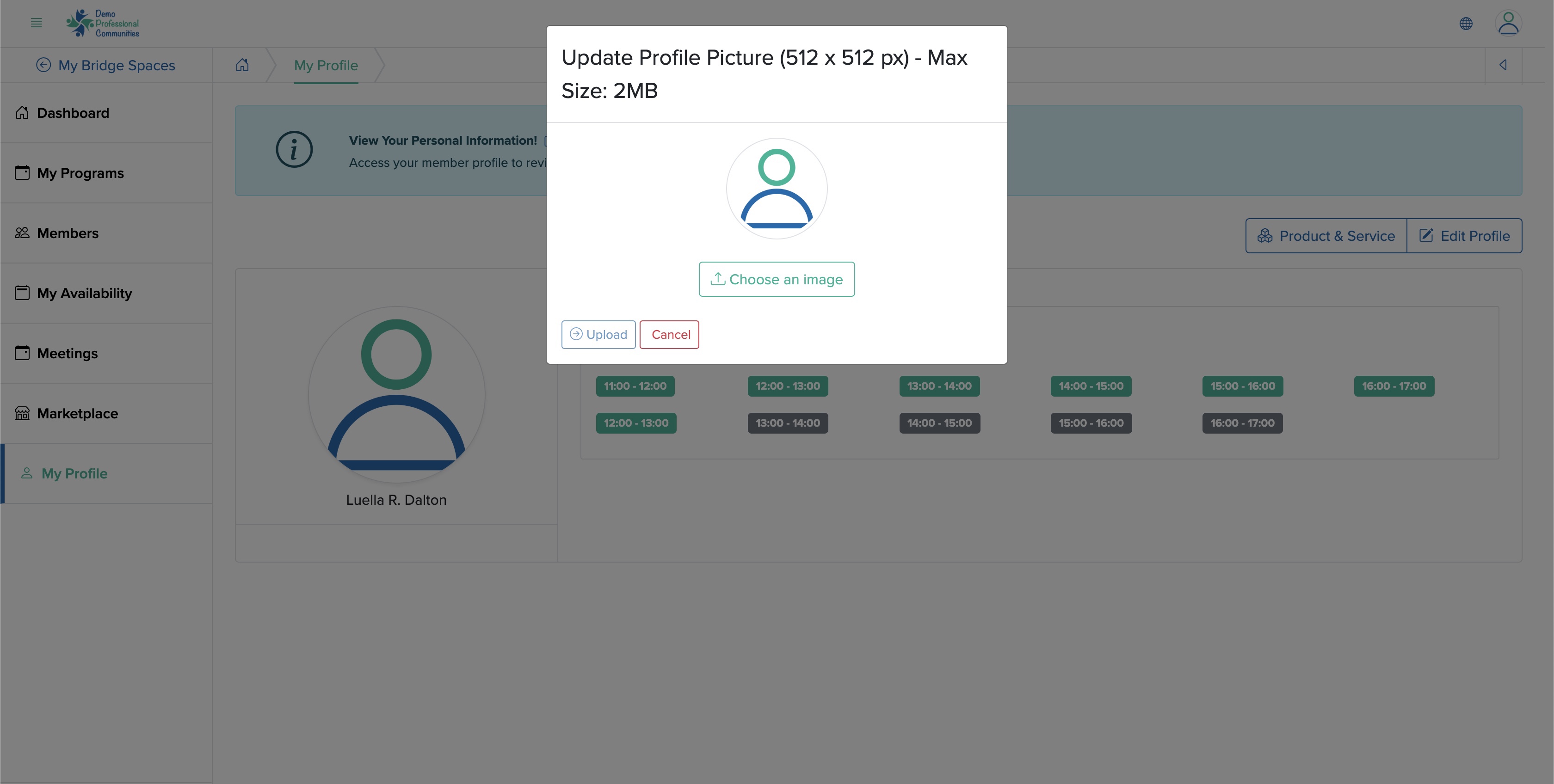 Figure 3: Bridge Member Control Panel Upload Profile Image Popup Screen