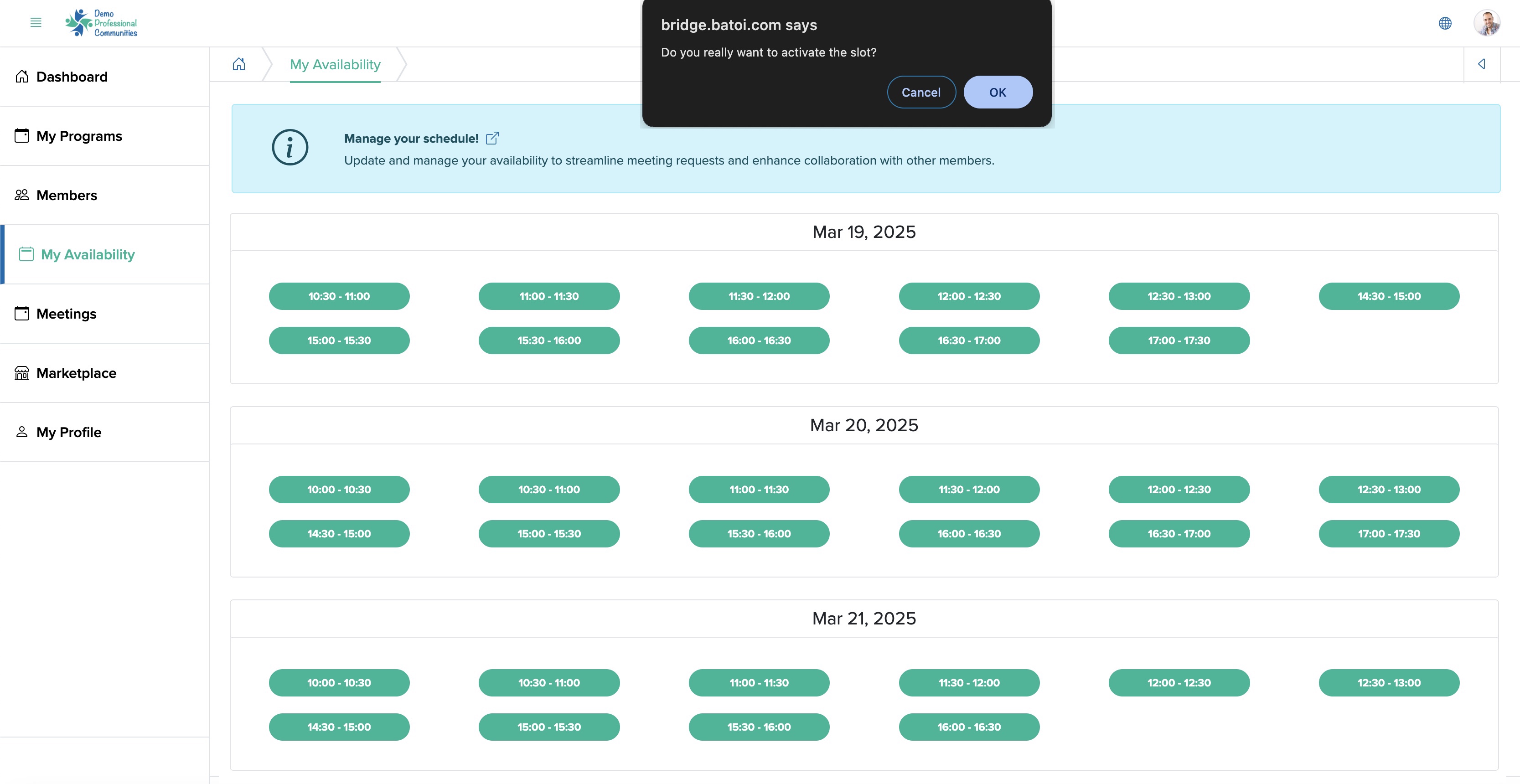 Figure 3: Individual Bridge Member Control Panel My Availability Screen