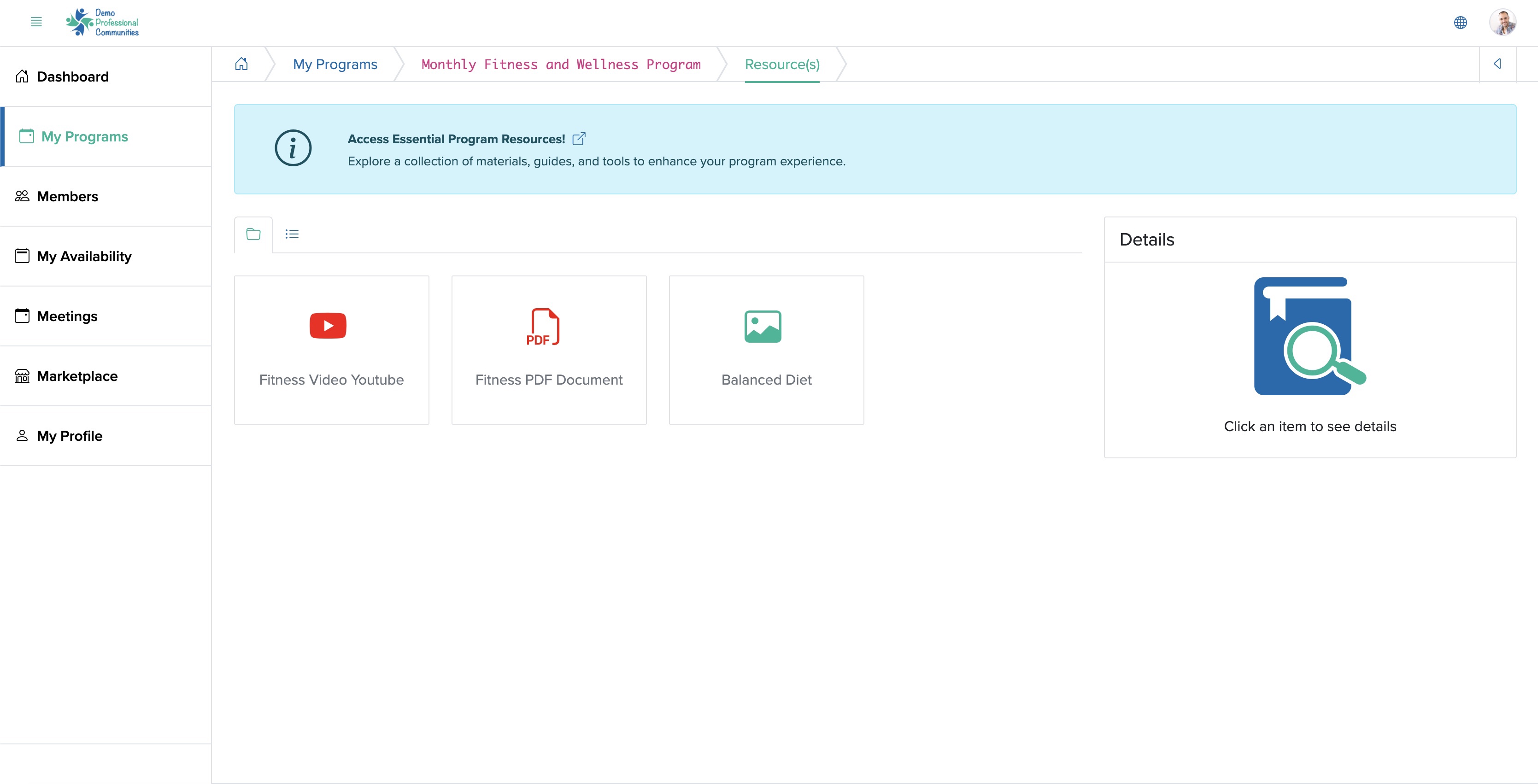 Figure 8: Individual Bridge Member Control Panel Individual Program Resource Screen