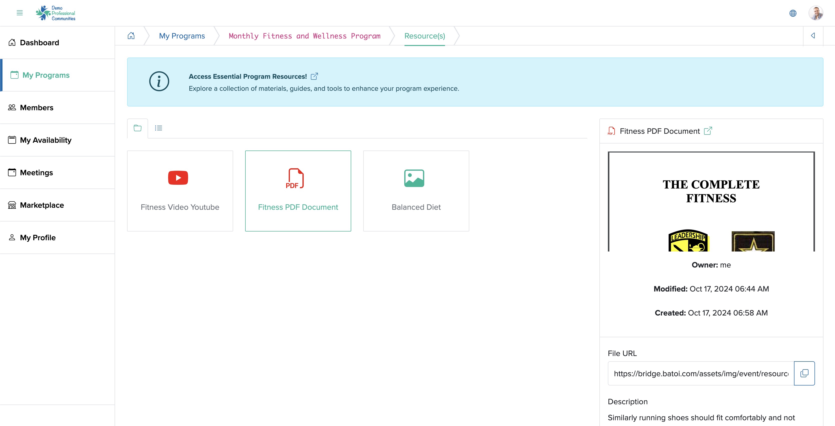 Figure 9: Individual Bridge Member Control Panel Individual Program Resource Detail Screen