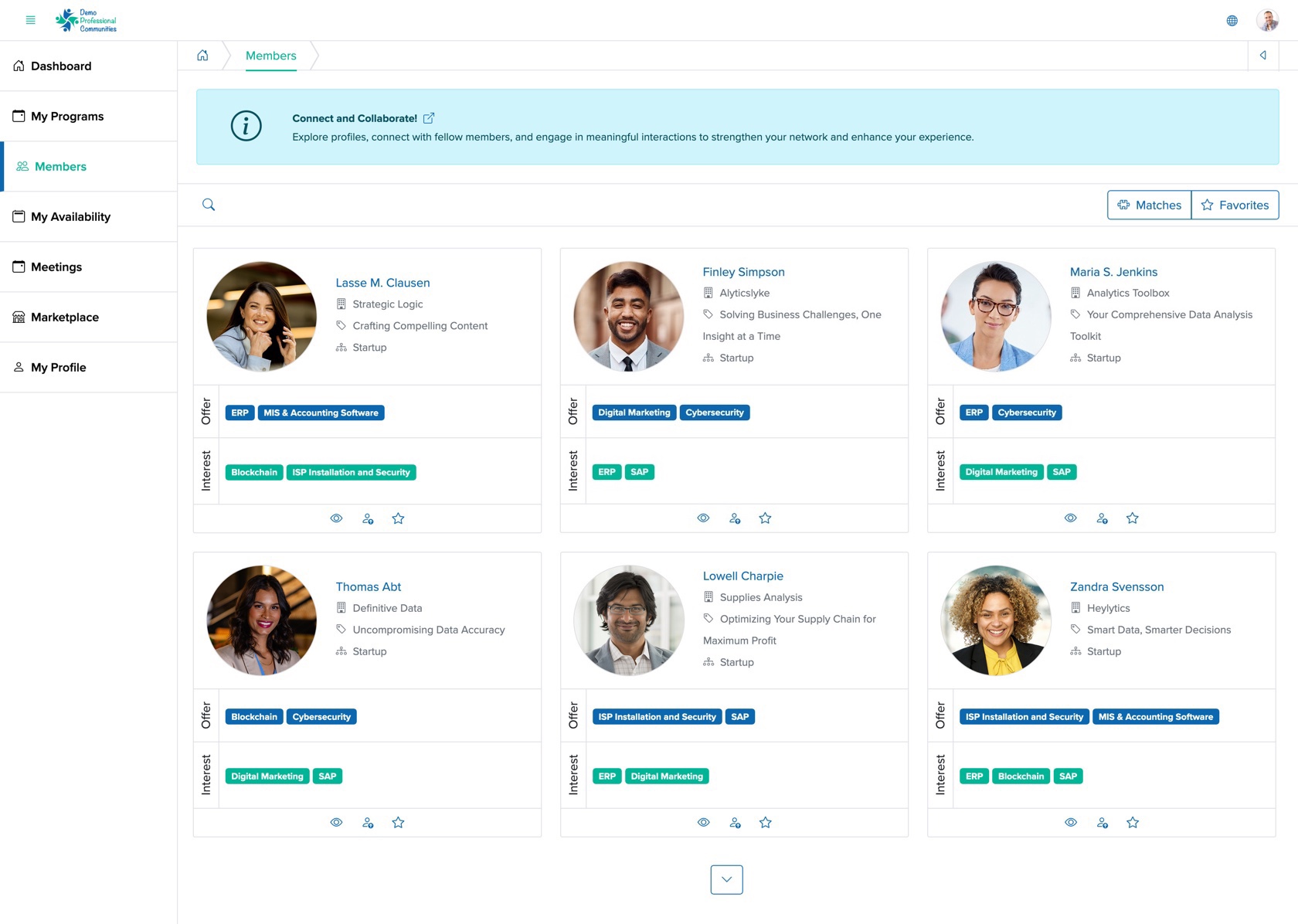 Figure 2: Individual Bridge Member Control Panel Member Screen