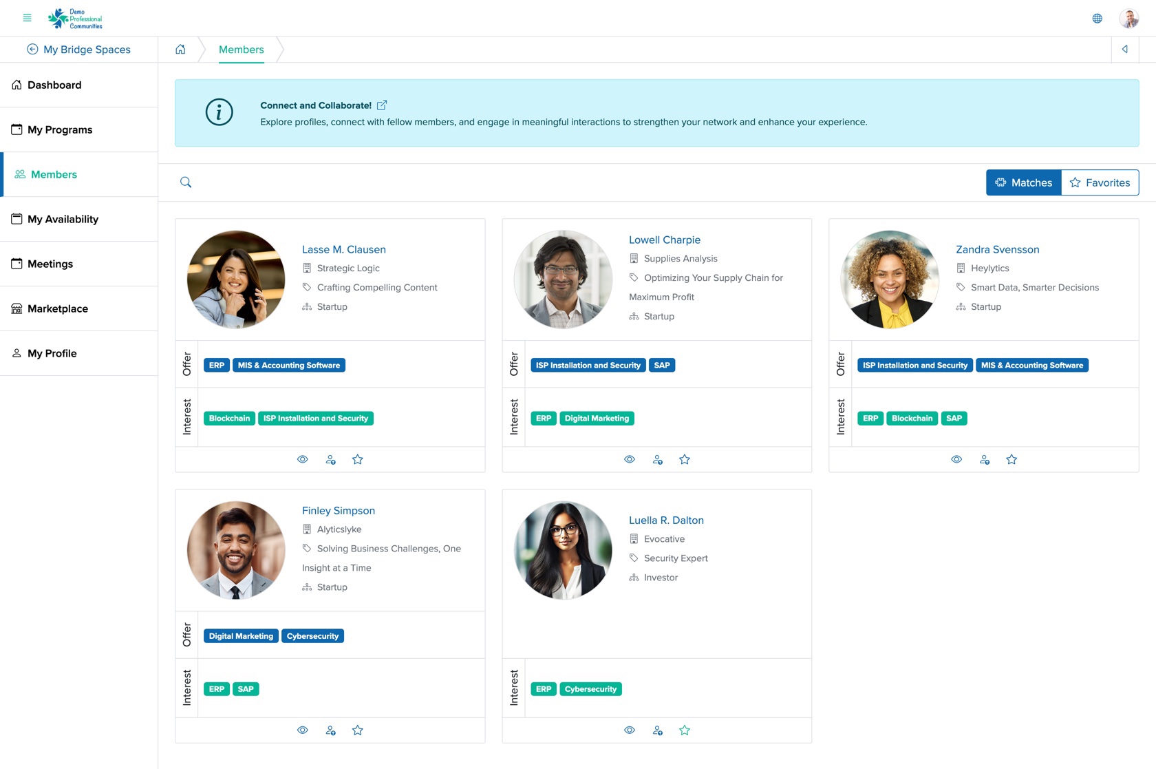 Figure 4: Individual Bridge Member Control Panel Member Matches Screen