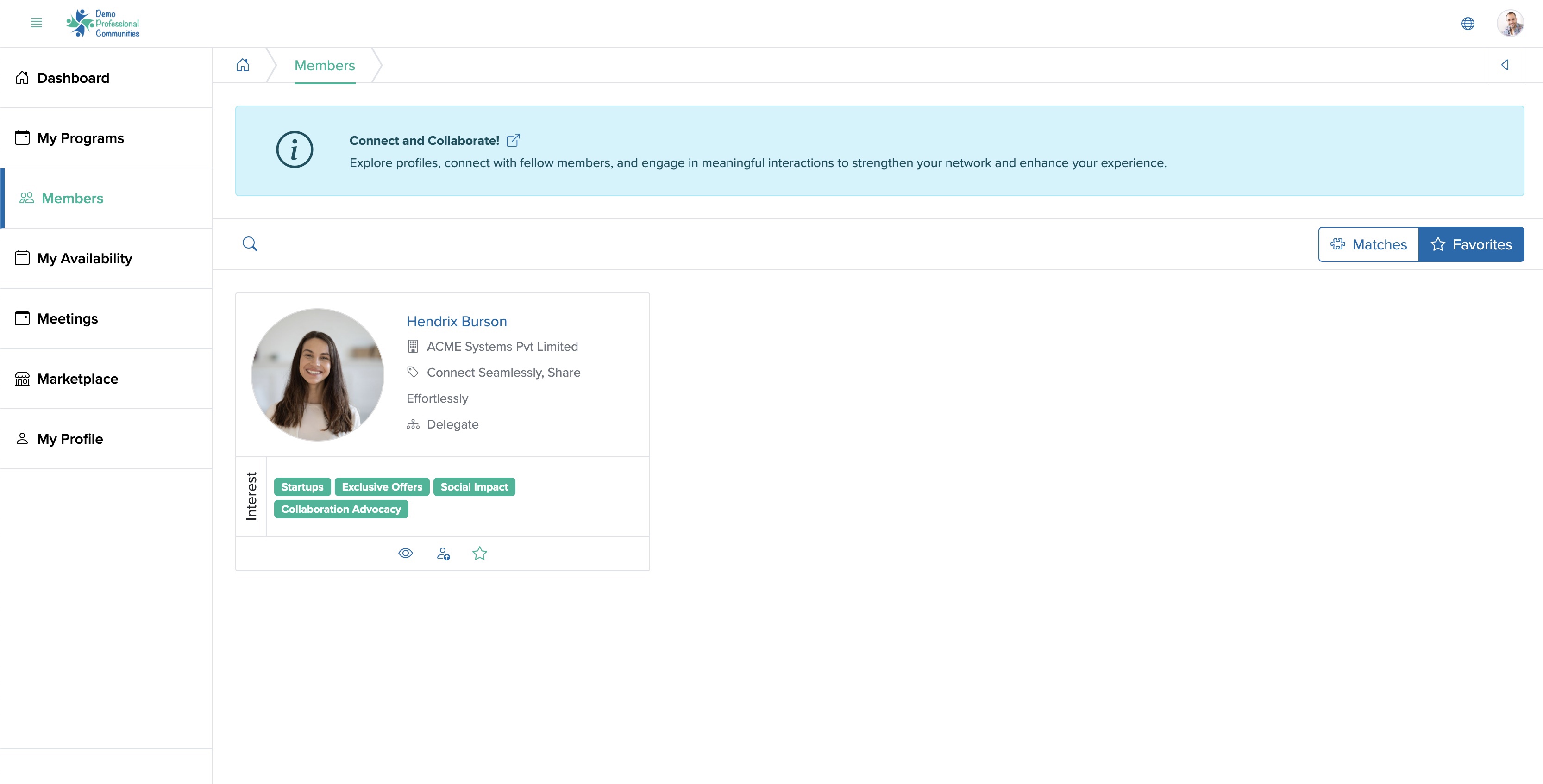 Figure 5: Individual Bridge Member Control Panel Member Matches Screen